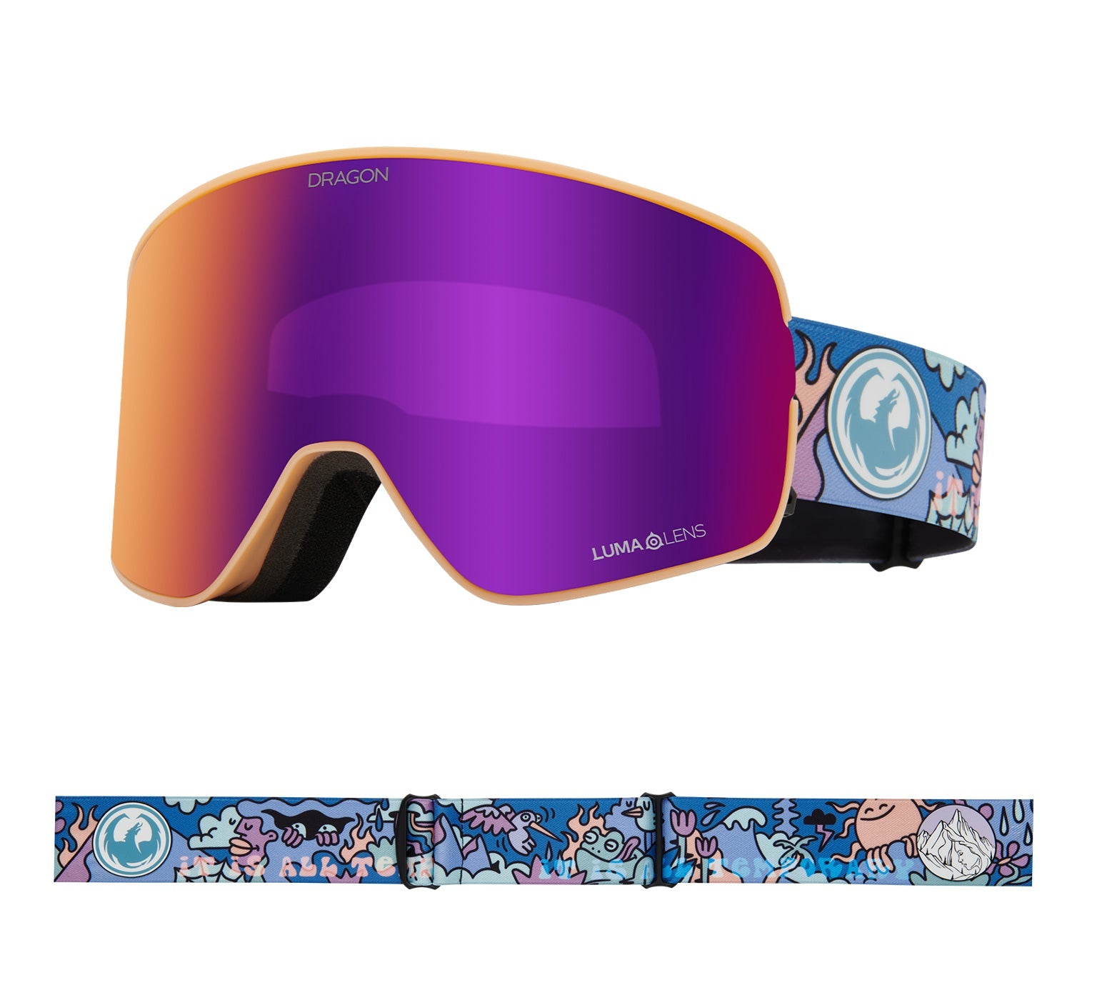 Dragon NFX2 Snow Goggles - Dragon Alliance